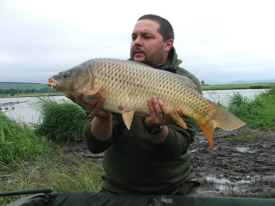 Lates iunie 2013 - 9462125931966774142041645377787n.jpg